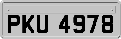 PKU4978