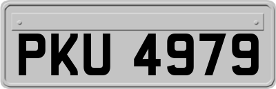 PKU4979