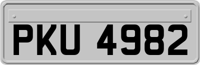 PKU4982