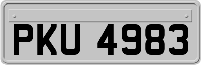 PKU4983