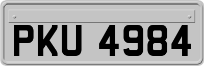 PKU4984