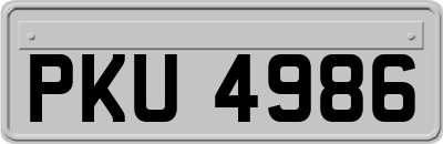 PKU4986