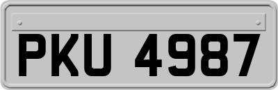 PKU4987