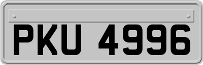 PKU4996