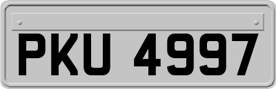 PKU4997