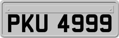 PKU4999