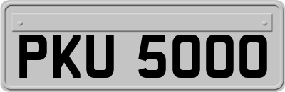 PKU5000