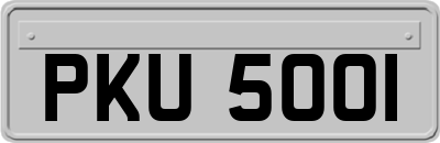PKU5001