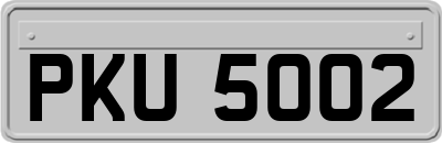PKU5002