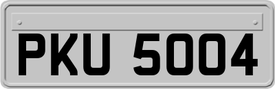 PKU5004