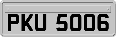 PKU5006