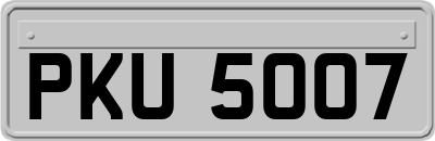 PKU5007
