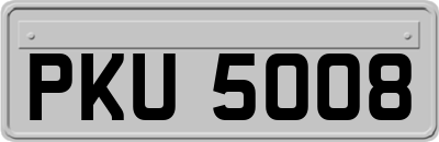 PKU5008