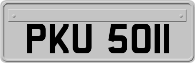 PKU5011