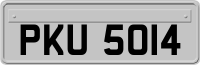 PKU5014