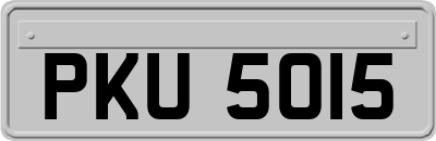 PKU5015