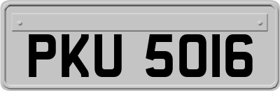 PKU5016