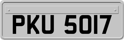 PKU5017