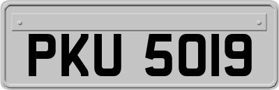 PKU5019