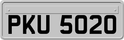 PKU5020