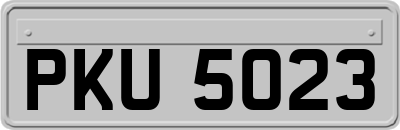 PKU5023