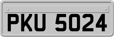 PKU5024