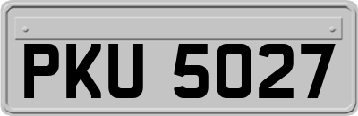 PKU5027