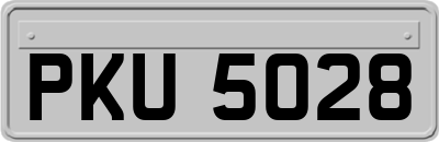 PKU5028