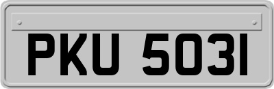 PKU5031