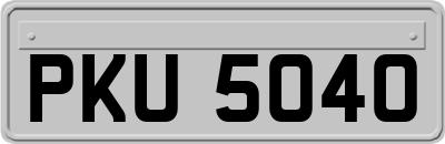 PKU5040