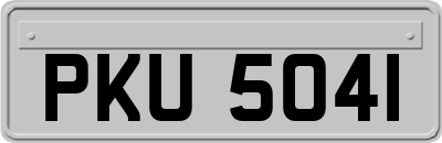 PKU5041
