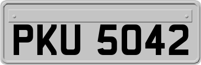 PKU5042