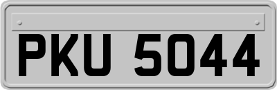 PKU5044