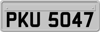 PKU5047