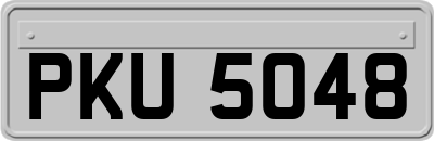 PKU5048