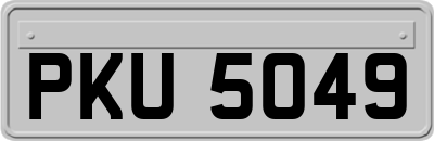 PKU5049