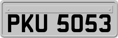 PKU5053
