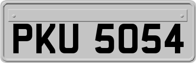 PKU5054