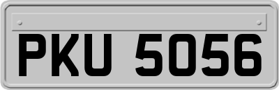 PKU5056