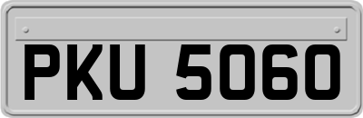 PKU5060