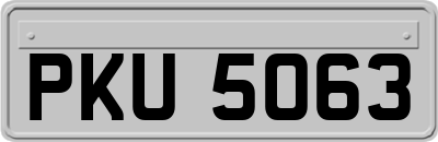 PKU5063