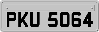 PKU5064
