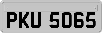 PKU5065