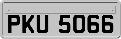 PKU5066