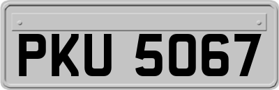 PKU5067