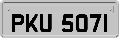 PKU5071