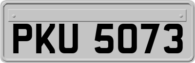 PKU5073