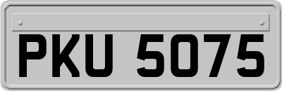 PKU5075