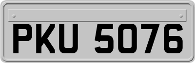 PKU5076