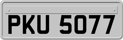PKU5077